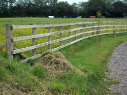 Post and rail fencing