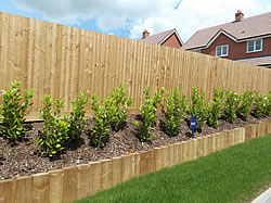 New softwood treated sleepers