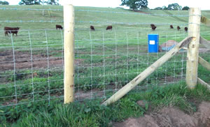 Wire stock fencing